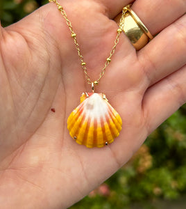 sunrise shell necklace #2