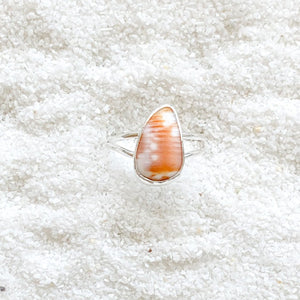 silver shell bit ring (size 8)